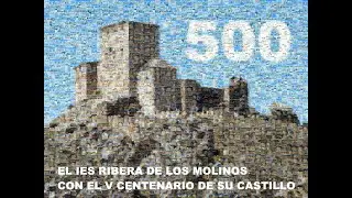 riberacovid19