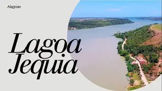 Lagoa Jequia • ALAGOAS