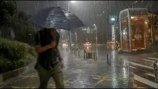 Peace in the Pouring Rain. Heavy Rain Walk. Relaxing Sound for Sleep Meditation. White Noise.