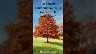 Constructive thinking:#resonancepositive,#Pens&eacute;eConstructive, #BienEtreMental,#R&eacute;flexionConstructive
