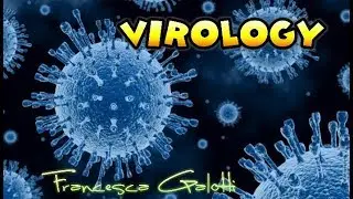 Virology, 12th Lesson, Togaviridae