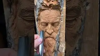 &ldquo;A Soft Place to Land&rdquo; hand carved in cottonwood bark