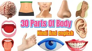 Body parts name hindi and english with pictures | sharir ke angon ke name | | human body parts