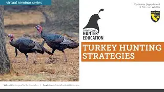 AHE 2025 - Webinar #58 - Turkey Hunting Strategies