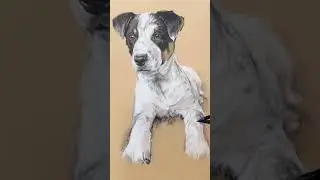 Charcoal Portrait of a Cute Puppy on Kraft-Toned Stonehenge Paper: Reflecting the Puppy's Coat