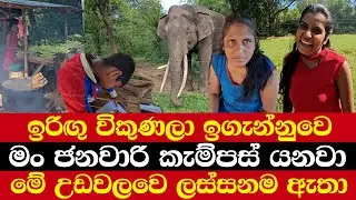 ඉරිඟු විකුණලා ඉගැන්නුවෙ | මං ජනවාරි කැම්පස් යනවා | මේ උඩවලවෙ ලස්සනම ඇතා