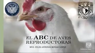 ABC de las aves reproductoras