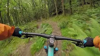 Bristol MTB Riders @ Leigh Woods Off Piste sections.