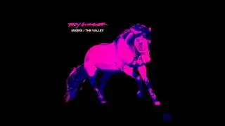 Troy Gunner - The Valley
