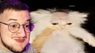 memes que quebram toda e qualquer expectativa