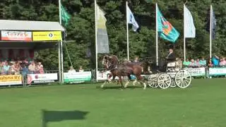 Film Tuigpaardenconcours Norg 2015