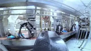 Delaval teat spray robot tsr it it rendered