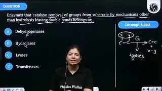 Enzymes that catalyse removal of groups from substrate by mechanisms other than hydrolysis leavi....