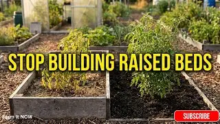 This Is Why You Should Stop Building Raised Beds | Ground Growing