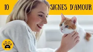 COMMENT SAVOIR SI VOTRE CHAT VOUS AIME  ?  👉D&eacute;couvrez 10 Signes d'Amour.