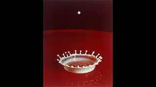 Photos that changed History: Milk Drop Coronet (1957)