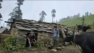 This is Himalayan Most Peaceful Nepali Village Lifestyle | Havy Hardwork in Dolpa Nepal |