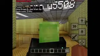 MC WITH ME AND MY FRIEND (SCARY BACKROOMS)
