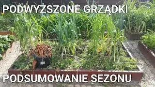 Podwyższone grządki -  podsumowanie sezonu