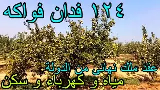 🌳 فرصة استثمارية نادرة: مزرعة ذهب بمساحة 124 فدان مزروعة بالكامل بالفواكه 🌳