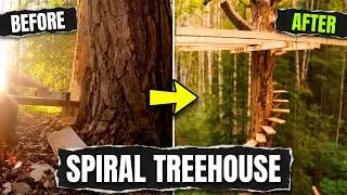 Man Builds Amazing Treehouse with Spiral Staircase Around the Tree | Full DIY Process