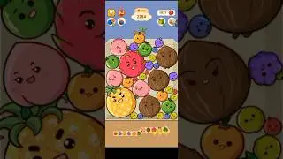 Fruit Merge - Please help me get a watermelon again