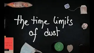 The time limits of dust