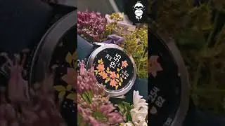 Rose Flower Feminine Digital Watch Face for Wear OS and Tizen