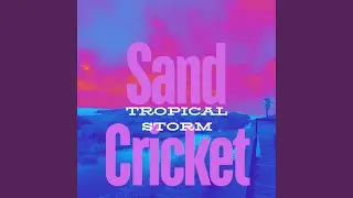 Tropical Storm