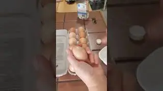 Preserving fresh eggs for up to a year in the fridge is very simple