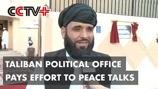 Taliban Political Office in Doha Undertaking Historic Mission: Analyst