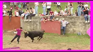 SORIA ( MONTE VALONSADERO ) TARDE LAVALENGUAS ( SABADO 10 JUNIO 2023 ) GANAD.LA CARDENILLA