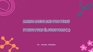 Amino Acids and Proteins Structure  طب قناة السويس & إسماعيلية الأهلية