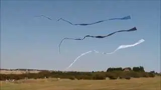 A Day flying single line kites