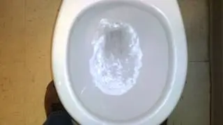 Bathroom Tour: Jacuzzi Toilet at Riverway Gas Station in Blacksburg VA