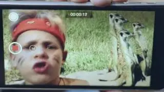 Воля  Блогер #Papacasting