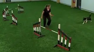 30-day Dog Agility Training Challenge