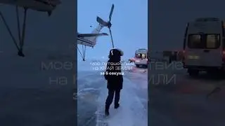 Тундра за 5 секунд ❄️