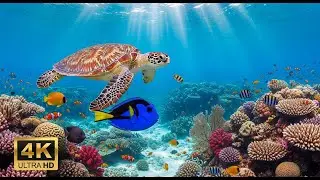 🌅 Deep Sea Aquarium 4K &ndash; Tranquil Fish Swimming & Soothing Background Music