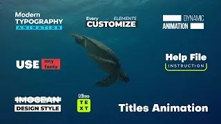 Titles Animation | After Effects, Premiere Pro, FCPX Video Template
