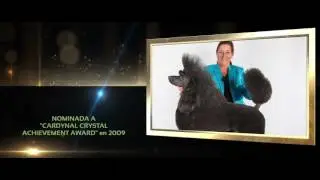 Corina Verschuren nominada a los Premios Artero Special Edition 2017