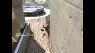 Black ops 2 combat axe bank shots