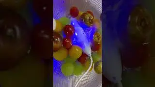Ozone Water Generator Ozone Cleaner for Fruits and Vegetables Removes Pesticide and Hormone Residues