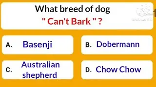@intelligenceonline7050 ..What breed of dog can't bark ?