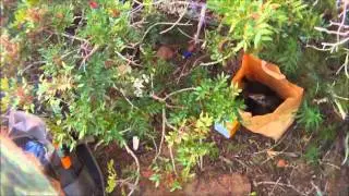 N&deg;3 Chasse aux Grives en Corse du Sud