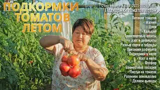 Подкормки томатов летом во время плодоношения (июнь-июль). Условия Юга России.