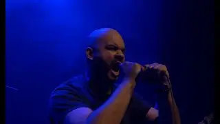 Terril - Mechanical Live Session