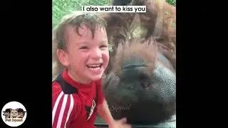 Animals trolling Humans 😂😂🤣