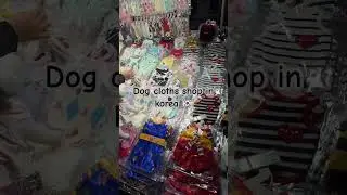 Obsession over dog cloths in korea #dog #dogcloths #korea