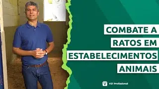 Controle e combate de ratos em estabelecimentos animais